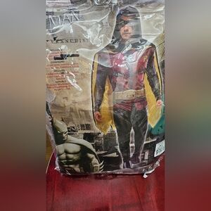 Robin Costume